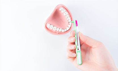 The Wingbrush: Revolution of Interdental Cleaning Set